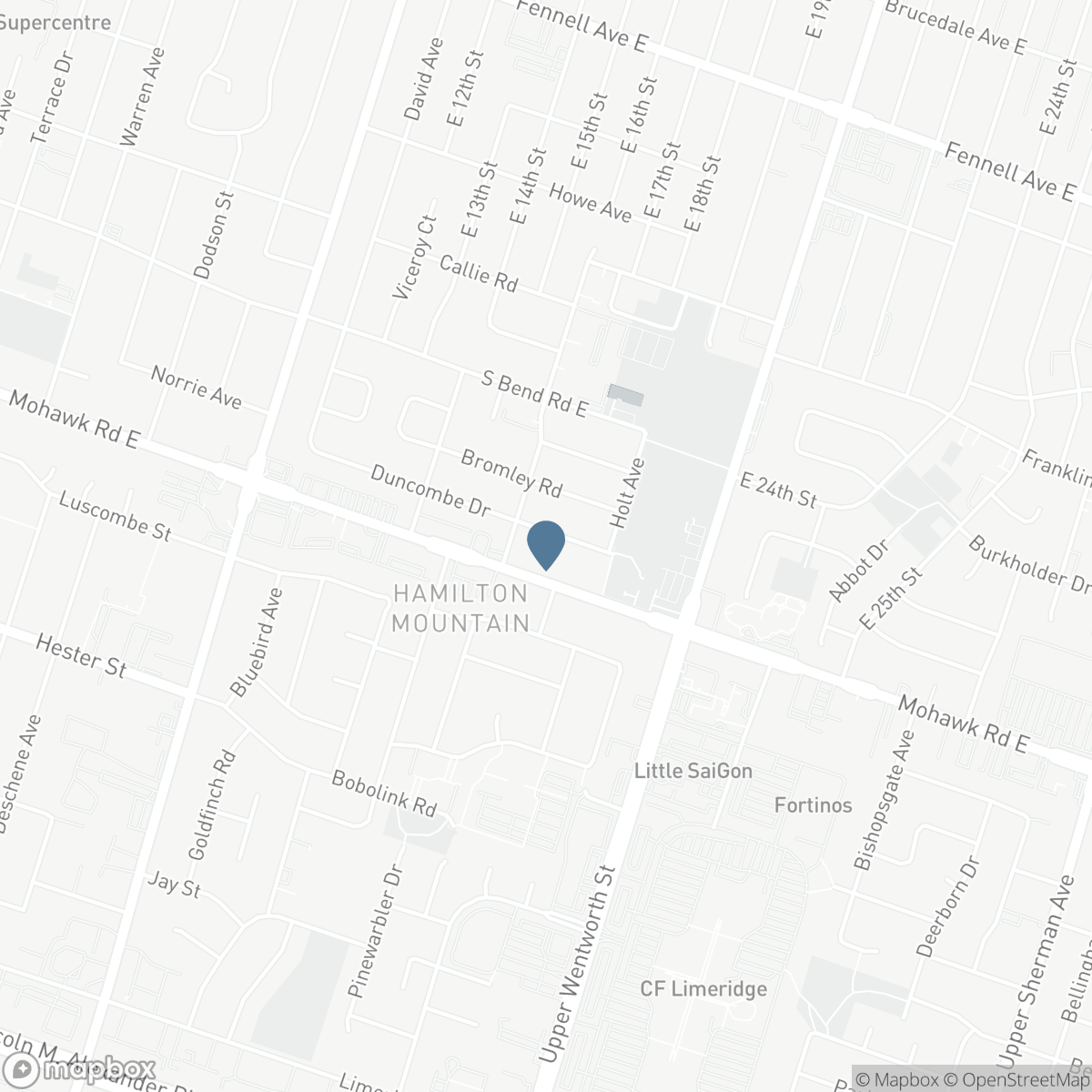 98 DUNCOMBE DRIVE, Hamilton, Ontario L9A 2G3